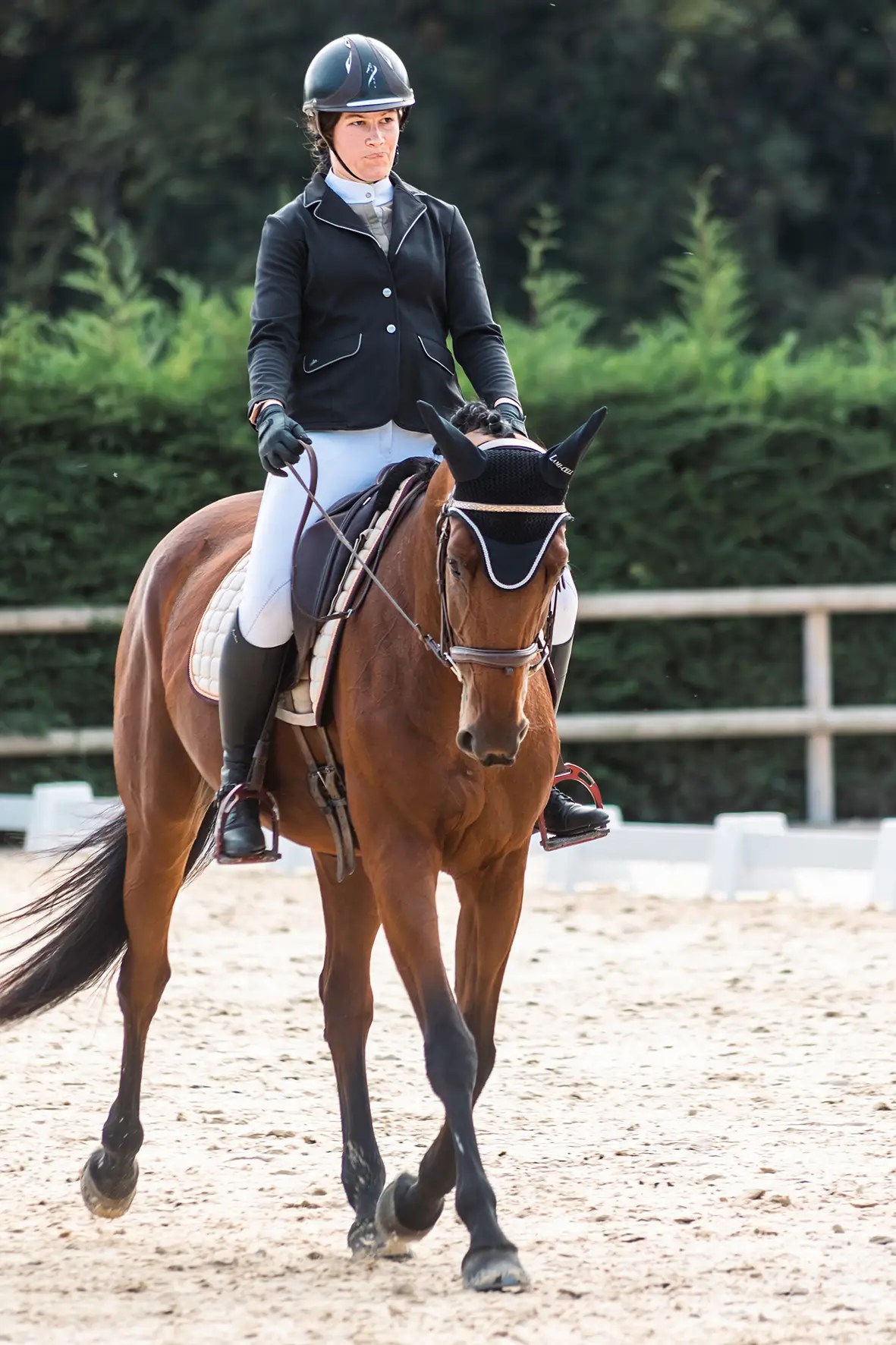 Photographe reportage Lyon, équitation événement, dressage, equifeel