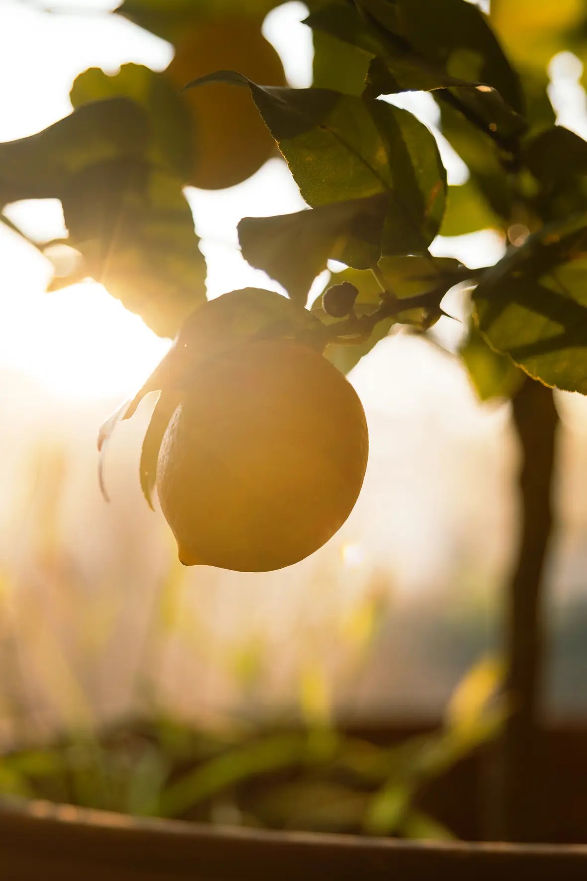 Photographe reportage photo lifestyle Lyon Rhône-Alpes, magazine