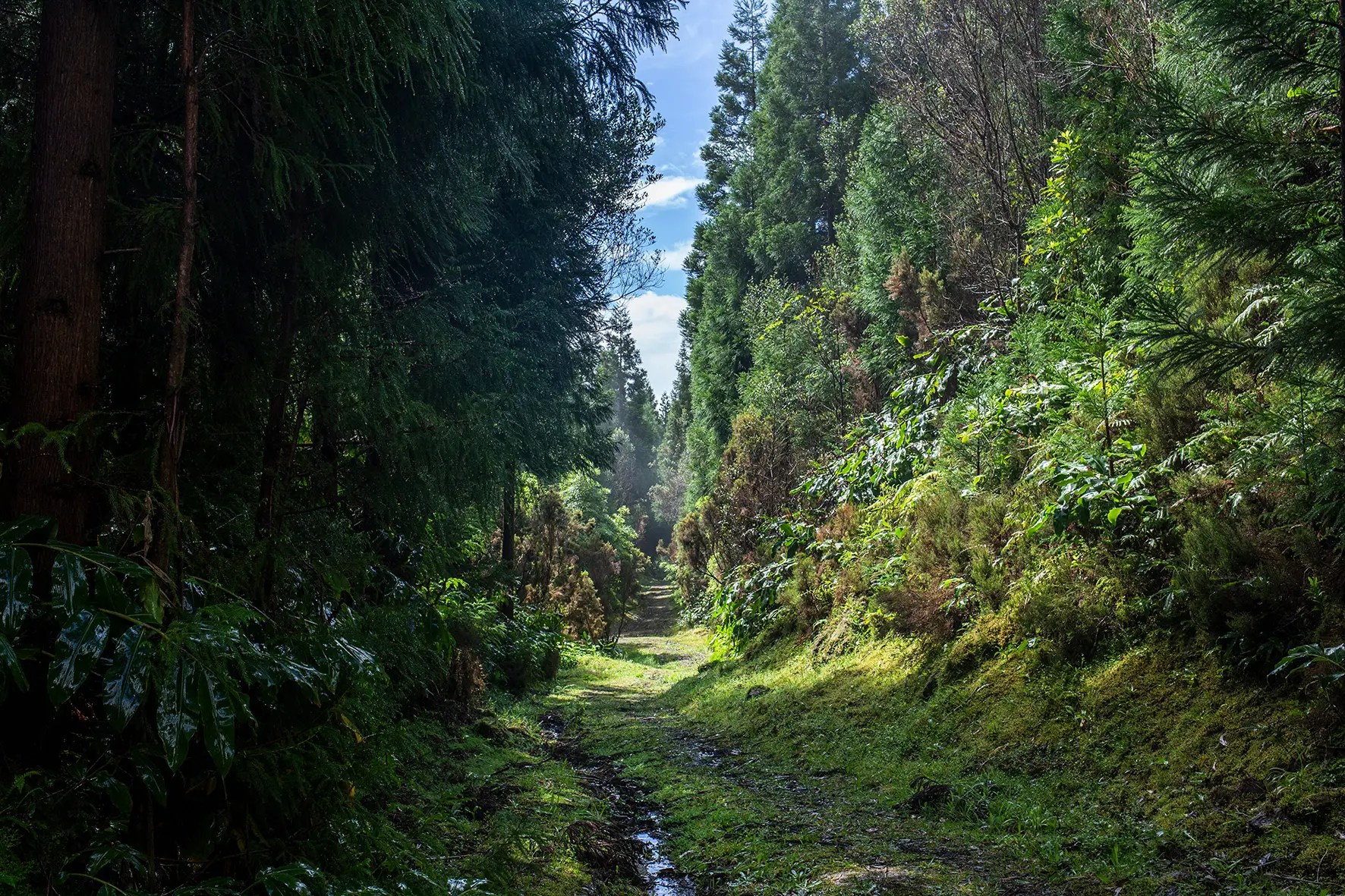 Photographe reportage photo voyage, Lyon Rhône-Alpes, magazine