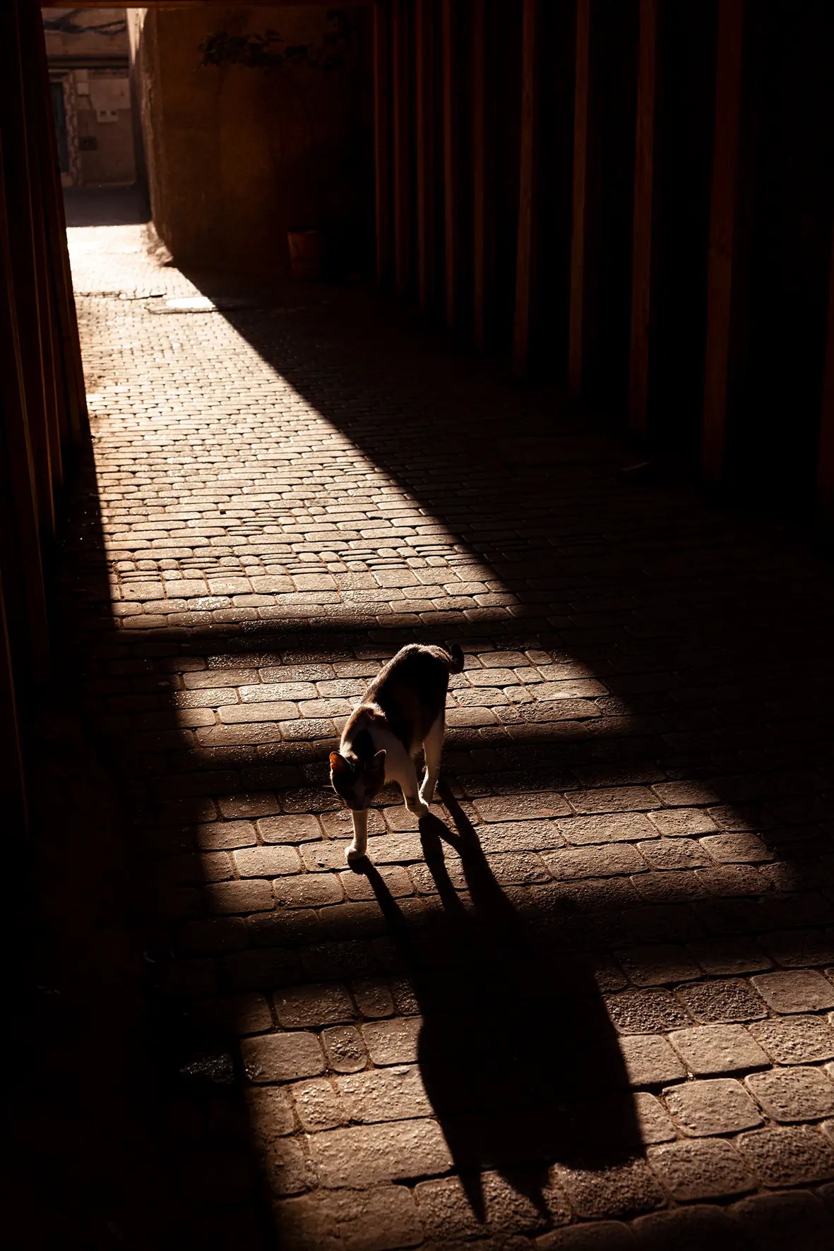 Photographe reportage photo voyage, Lyon Rhône-Alpes, magazine