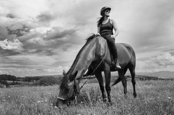 Photographe portrait Lyon, shooting extérieur, studio, équitation, photo animal cheval