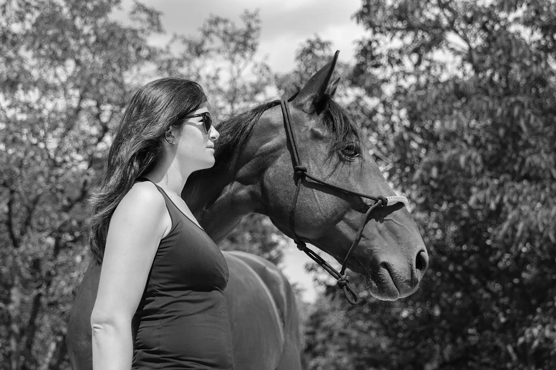 Photographe portrait, professionnel Lyon, shooting extérieur, studio, photo animal
