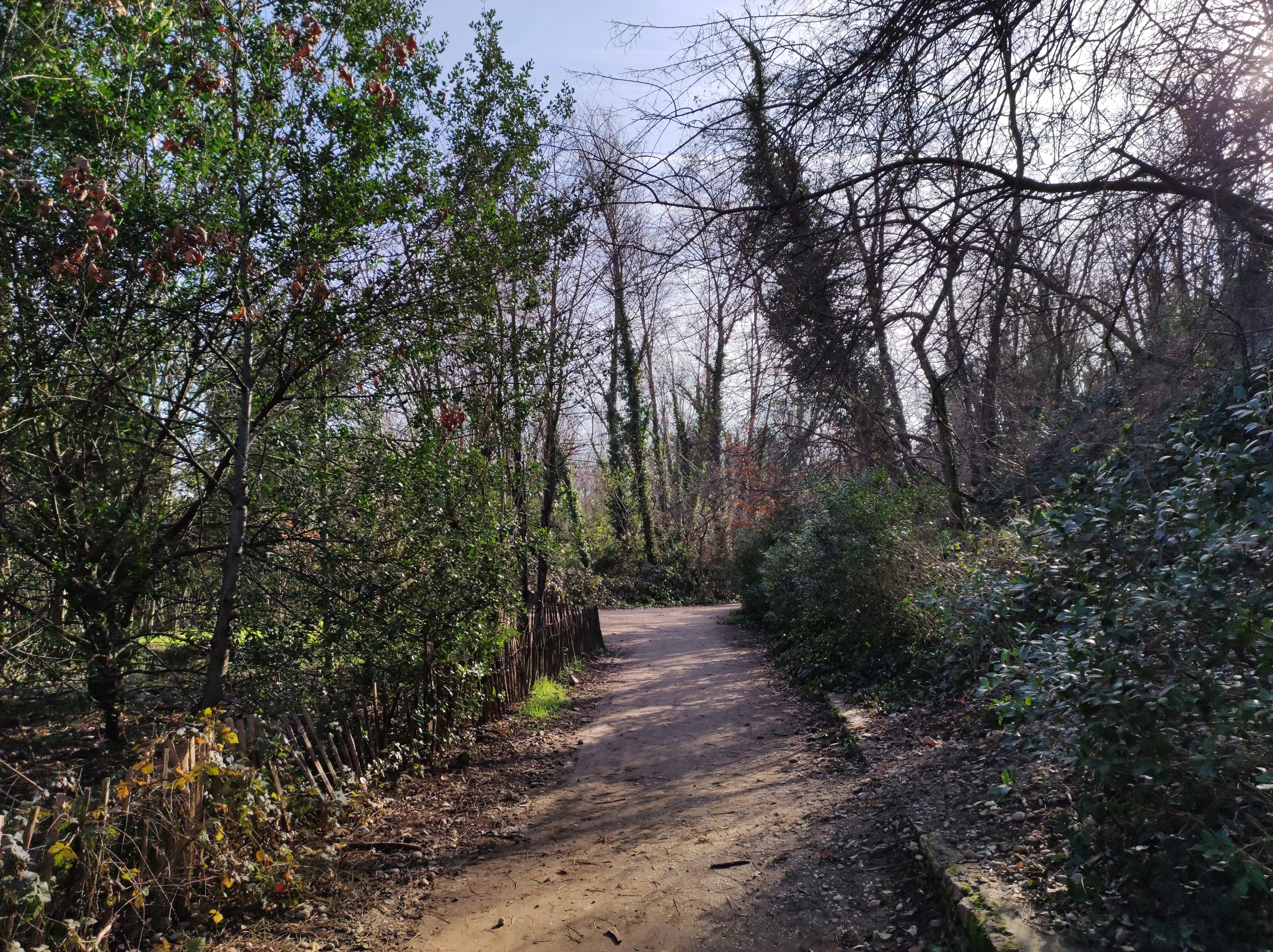 Photographe portrait professionnel Lyon, shooting extérieur, studio