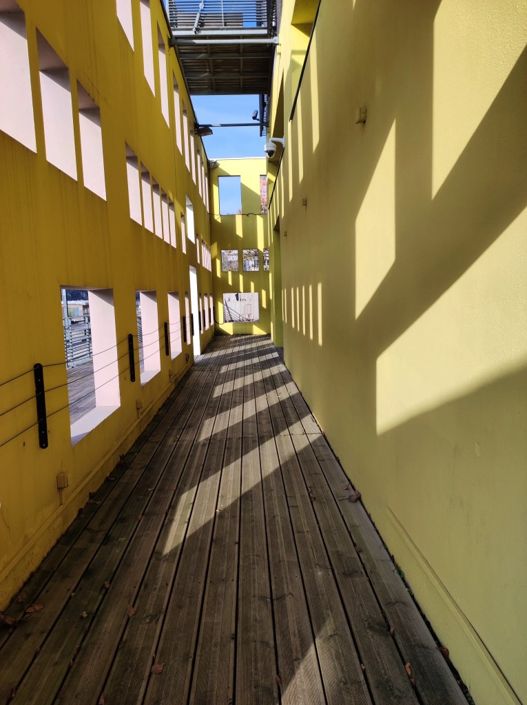 Photographe portrait professionnel Lyon, shooting extérieur, studio