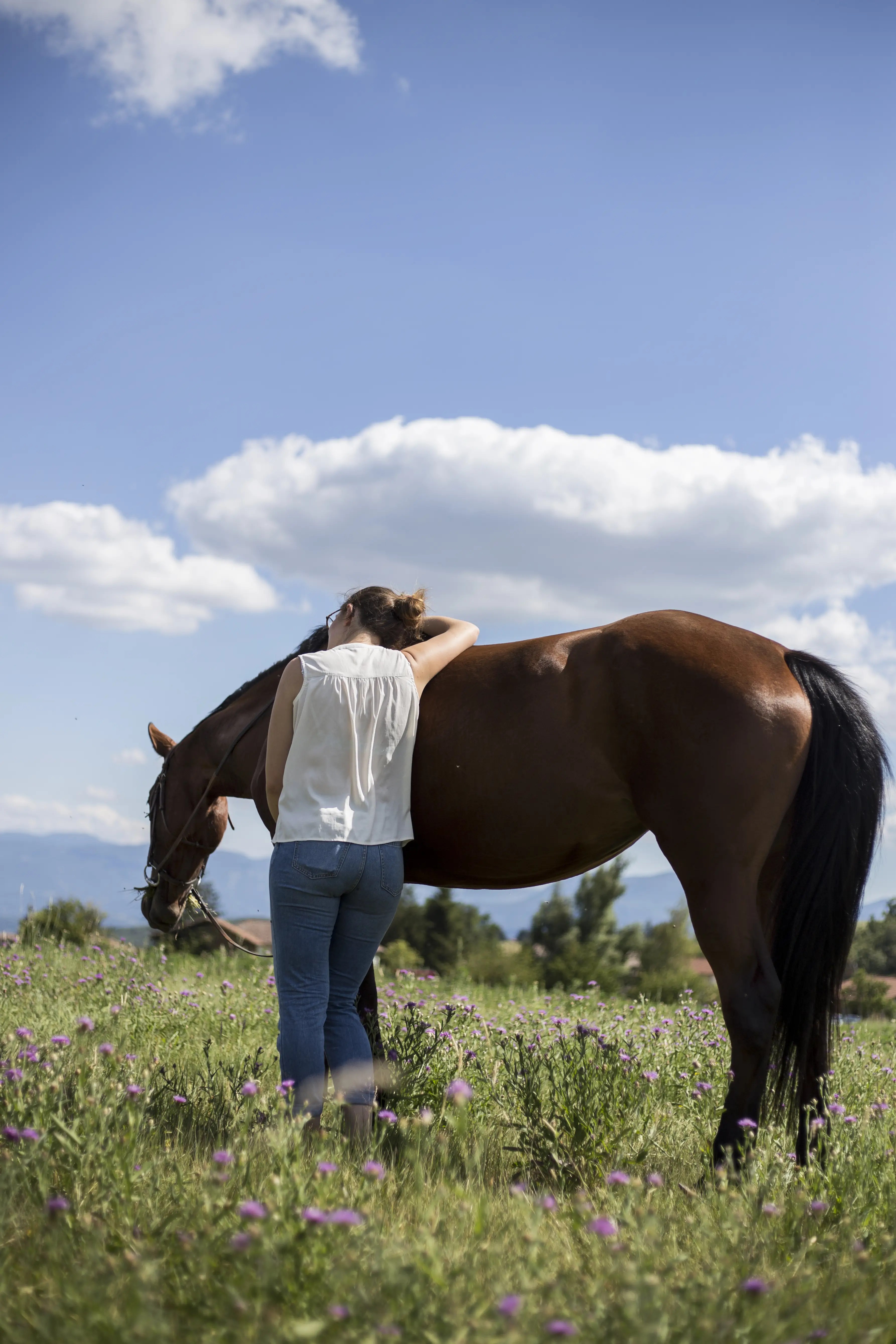 Photographe portrait Lyon, shooting extérieur, studio, équitation, photo animal
