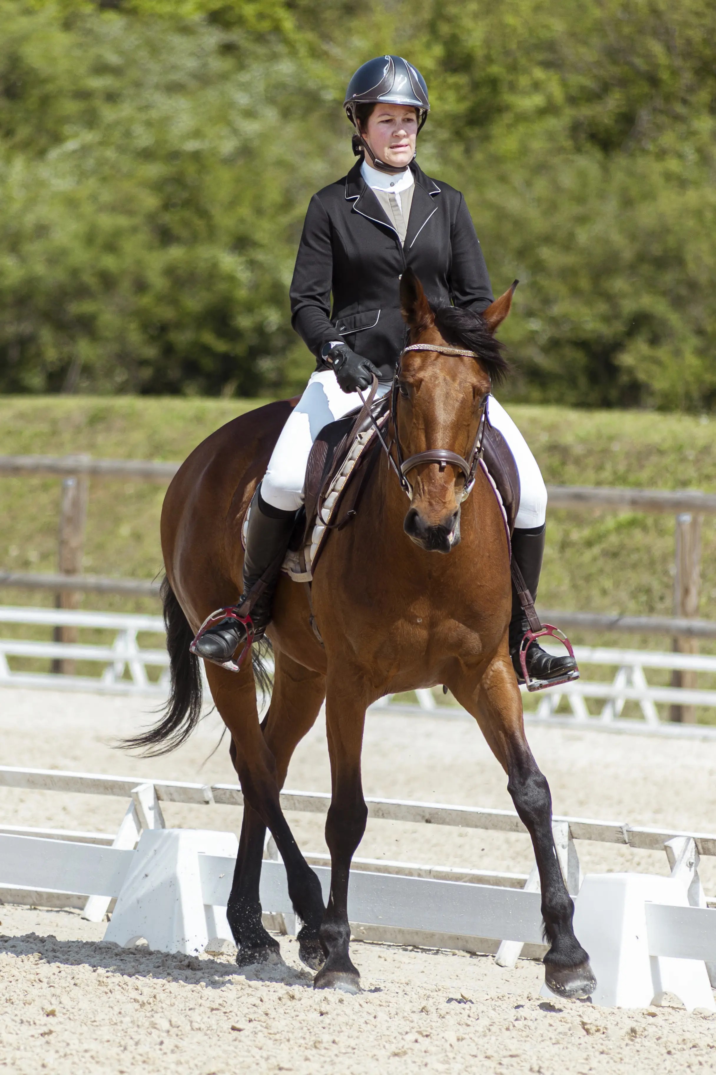 Photographe portrait Lyon, shooting extérieur, studio, équitation, photo animal